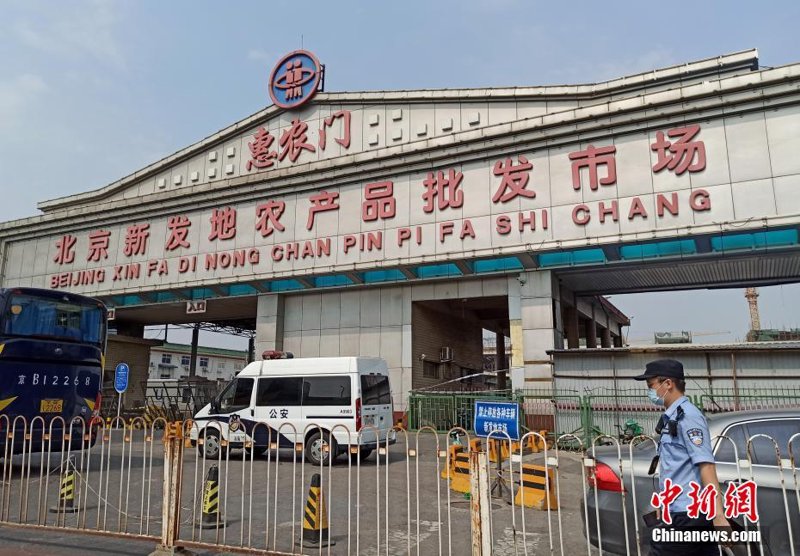 北京绿洲商贸有限公司与绿也商贸公司的区别在于哪些方面？
